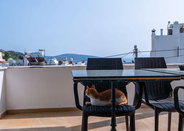 Ilya 2 Bodrum