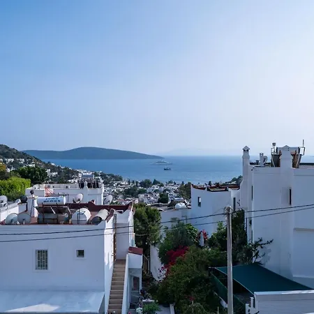 Ilya 2 * Bodrum